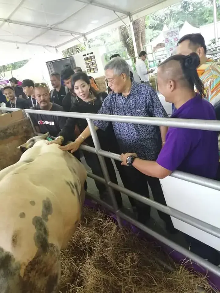 Pelanggan memilih lembu korban di acara Desa Selatan Beef Johor 2026